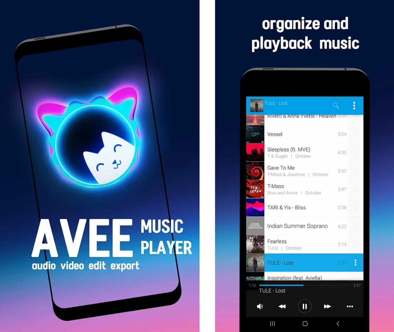 Avee Music Player Pro mod